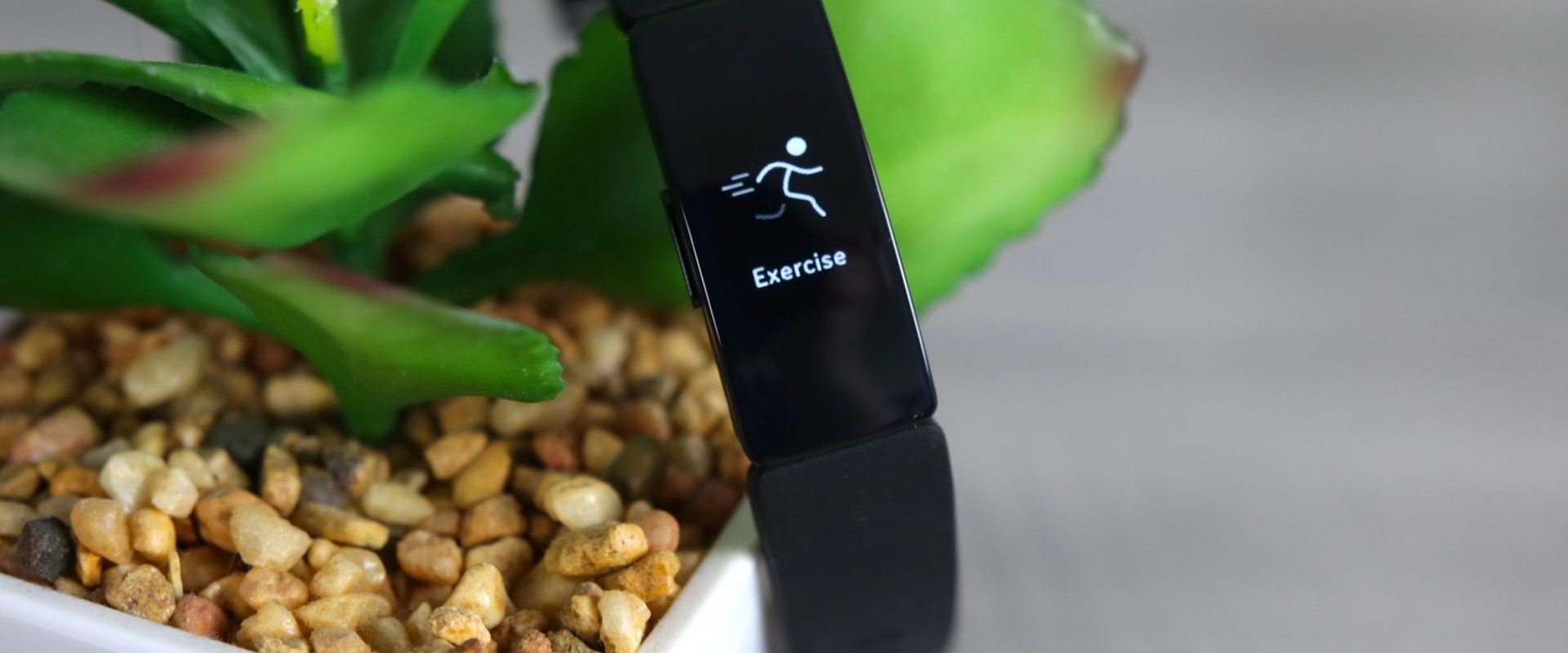 Can fitbit track workouts?